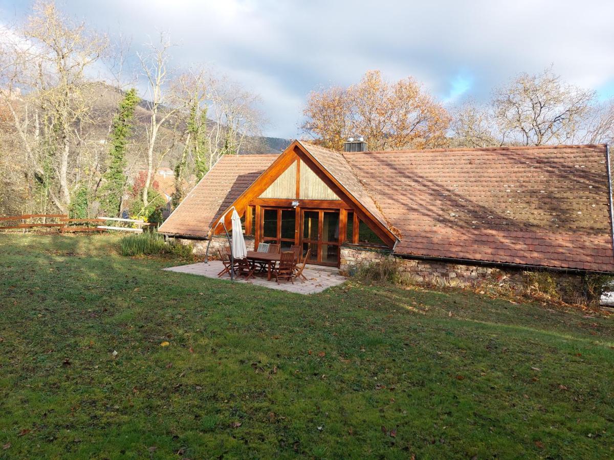 La Canopee Alsacienne - Magnifique Maison A Ribeauville Kültér fotó