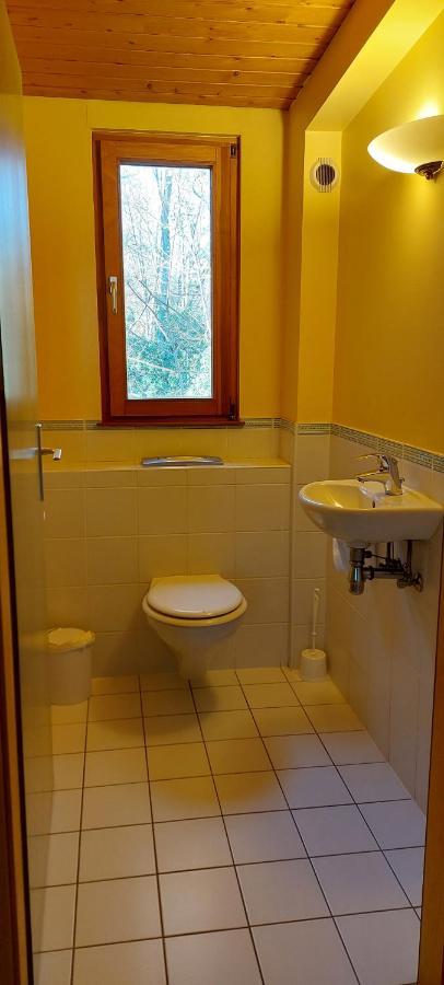 La Canopee Alsacienne - Magnifique Maison A Ribeauville Kültér fotó