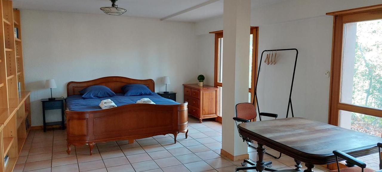 La Canopee Alsacienne - Magnifique Maison A Ribeauville Kültér fotó