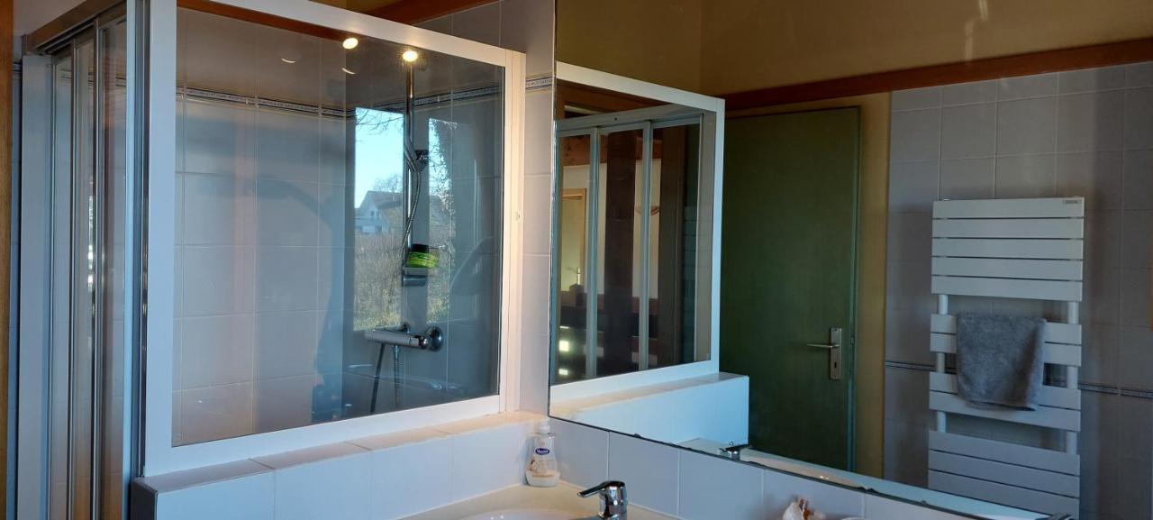 La Canopee Alsacienne - Magnifique Maison A Ribeauville Kültér fotó