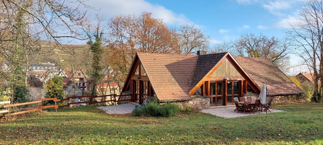 La Canopee Alsacienne - Magnifique Maison A Ribeauville Kültér fotó